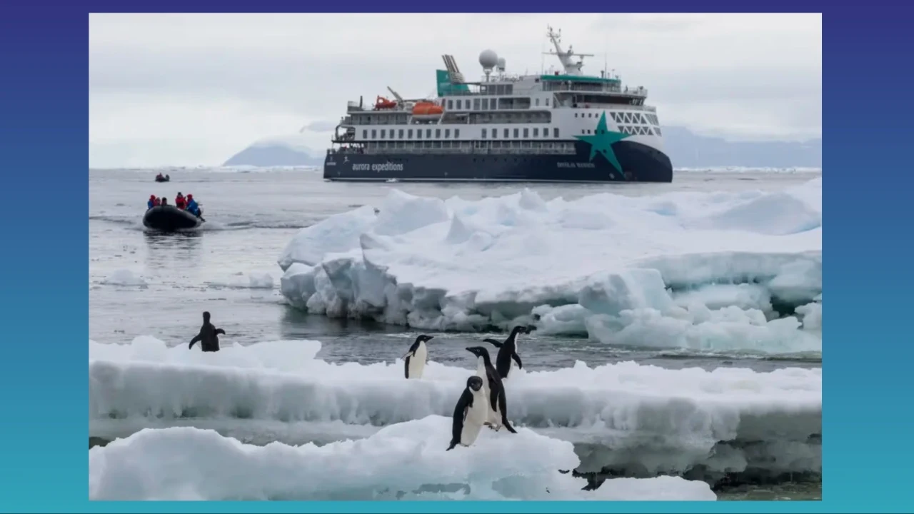 The image shows an Aurora Expeditions expedition vessel navigating icy Antarctic waters with penguins in the foreground, directly illustrating the article about Aurora Expeditions' Antarctic technology trial.
